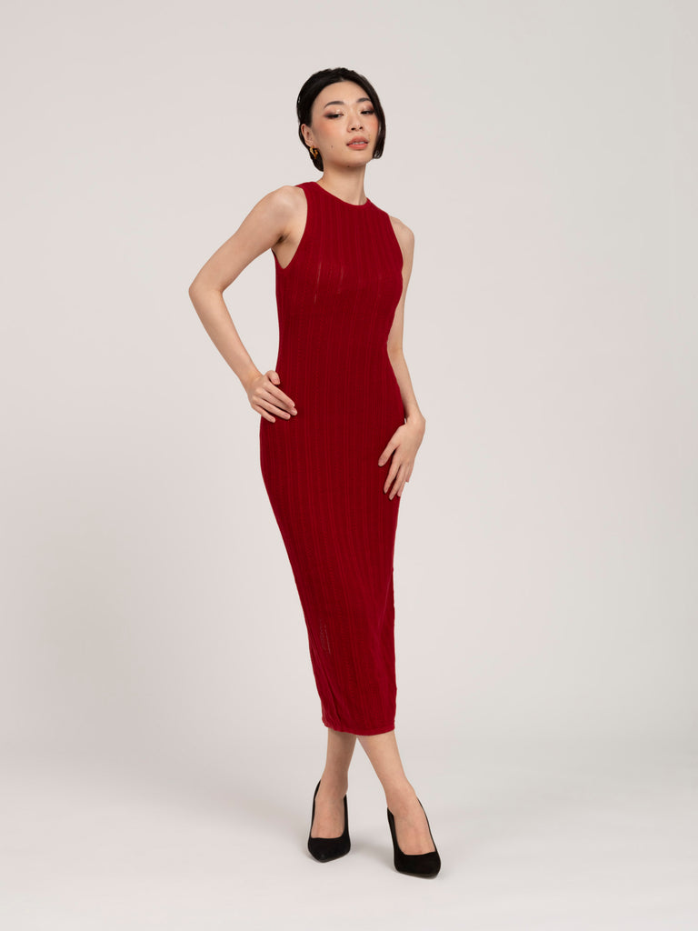 Lumiere Pointelle Sheer Dress